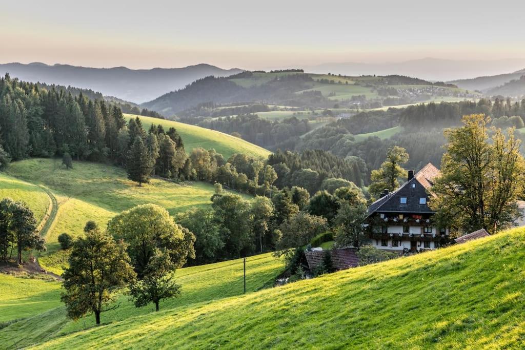Waldoase Titisee Eksteriør bilde
