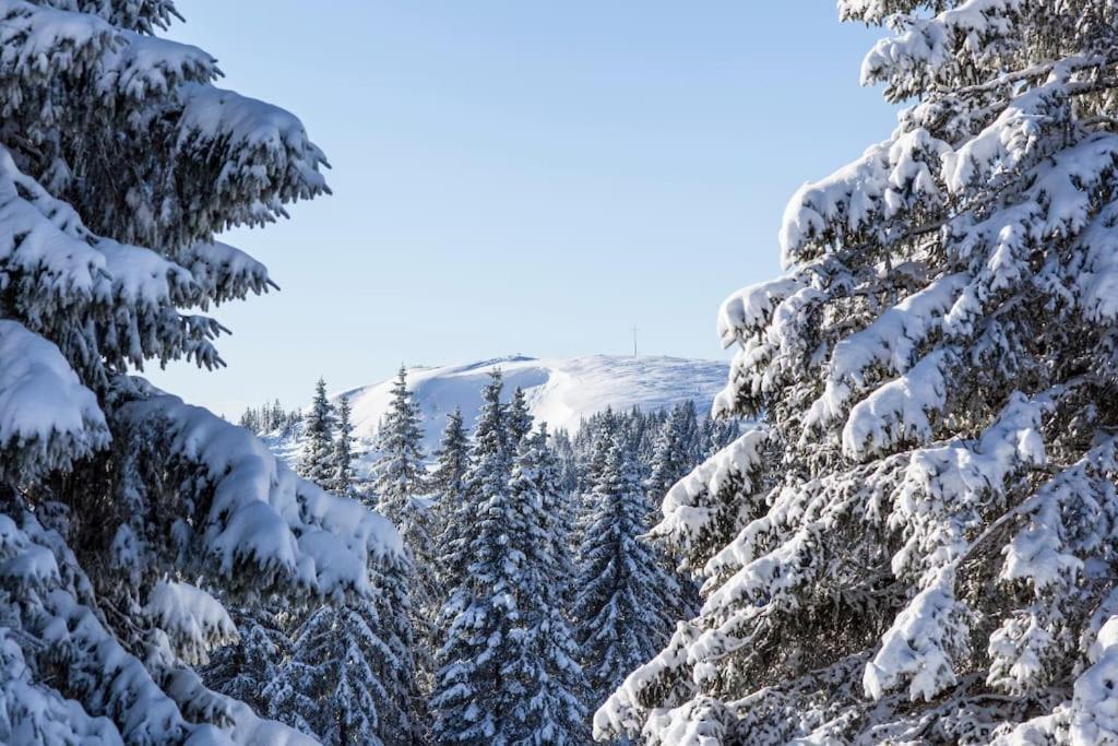 Waldoase Titisee Eksteriør bilde