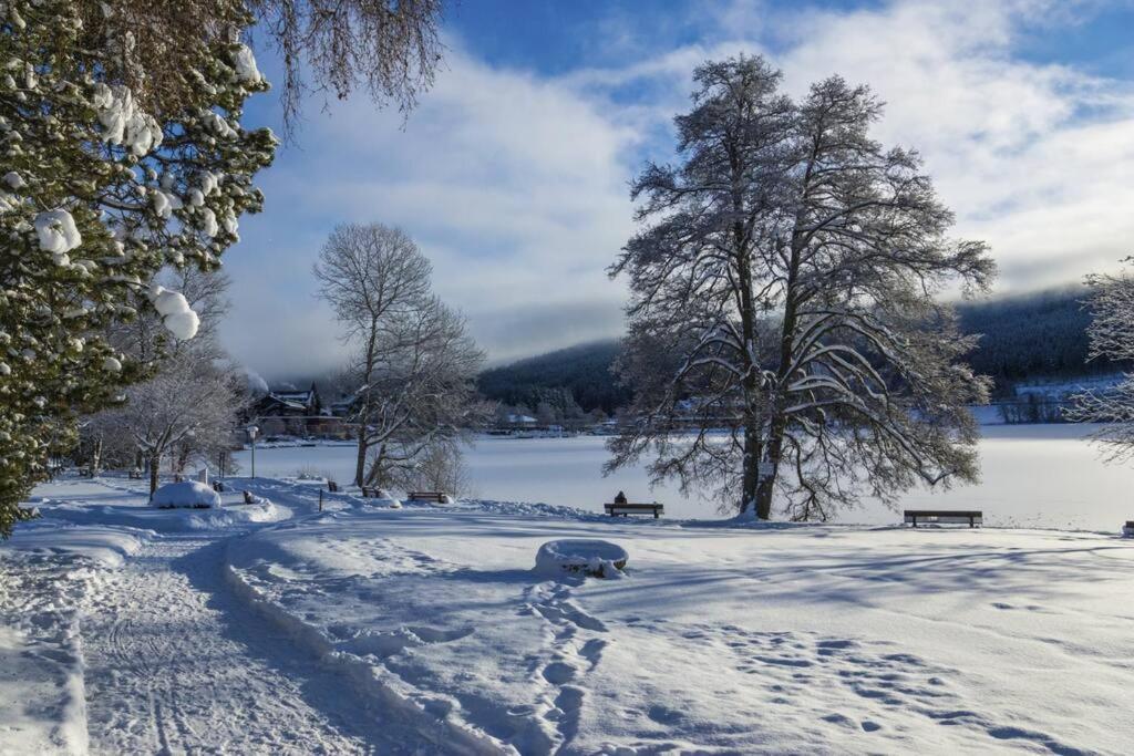Waldoase Titisee Eksteriør bilde
