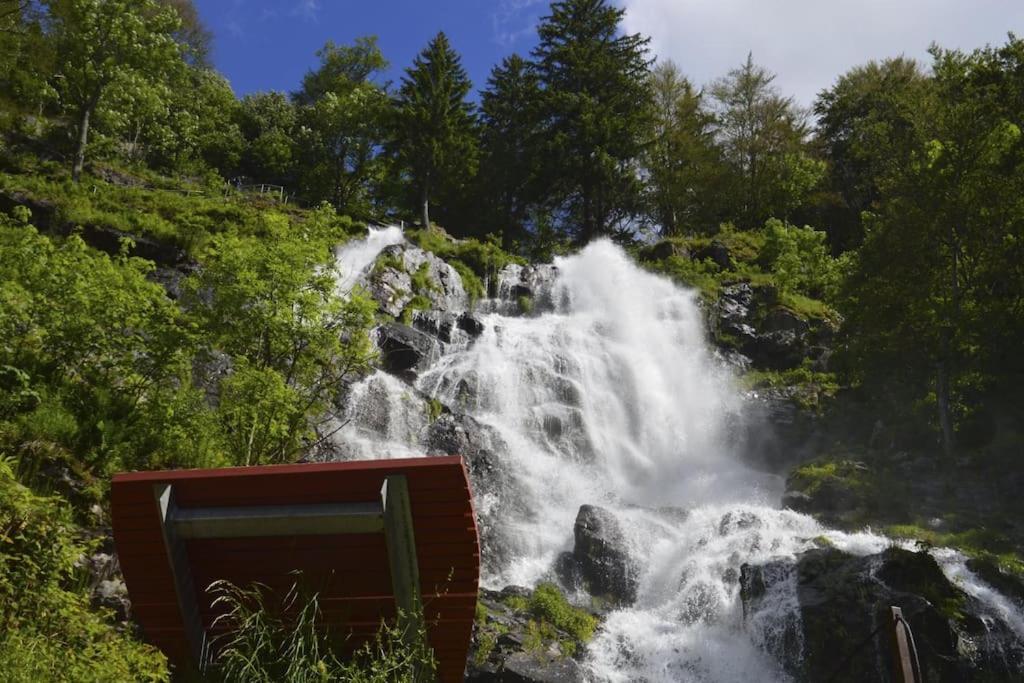 Waldoase Titisee Eksteriør bilde